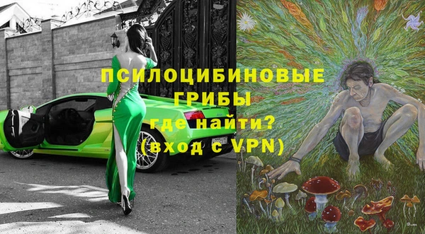 марки nbome Богданович