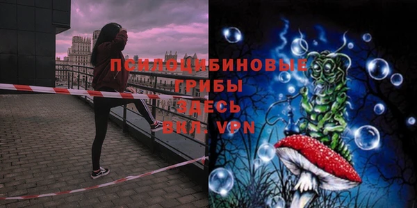 марки nbome Богданович