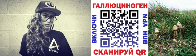 площадка формула  Брюховецкая  Галлюциногенные грибы мицелий 